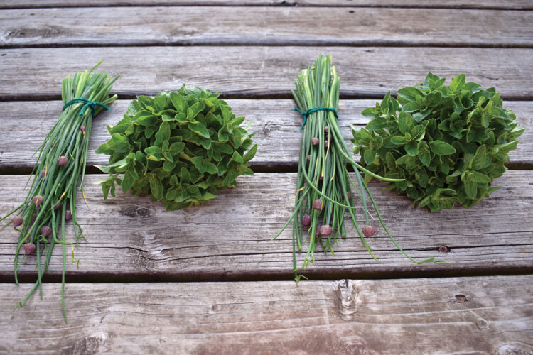 Healthiest Spices: Chives and Oregano
